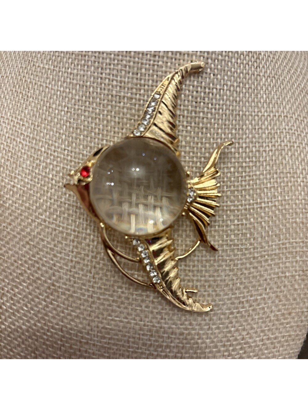Designer inspired jelly belly fish Brooch  Round Cabochon